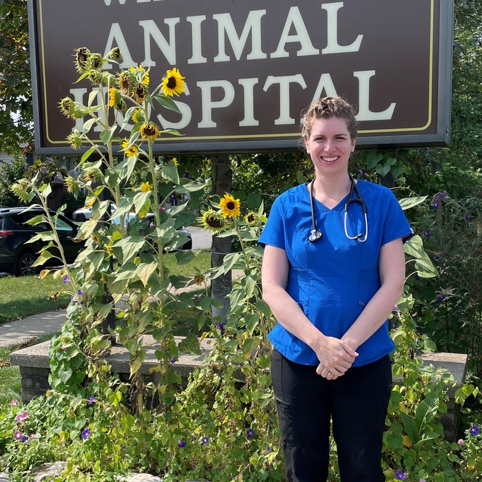 Meet the Team | Whitehills Animal Hospital