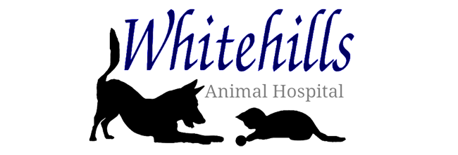 Whitehills Animal Hospital logo
